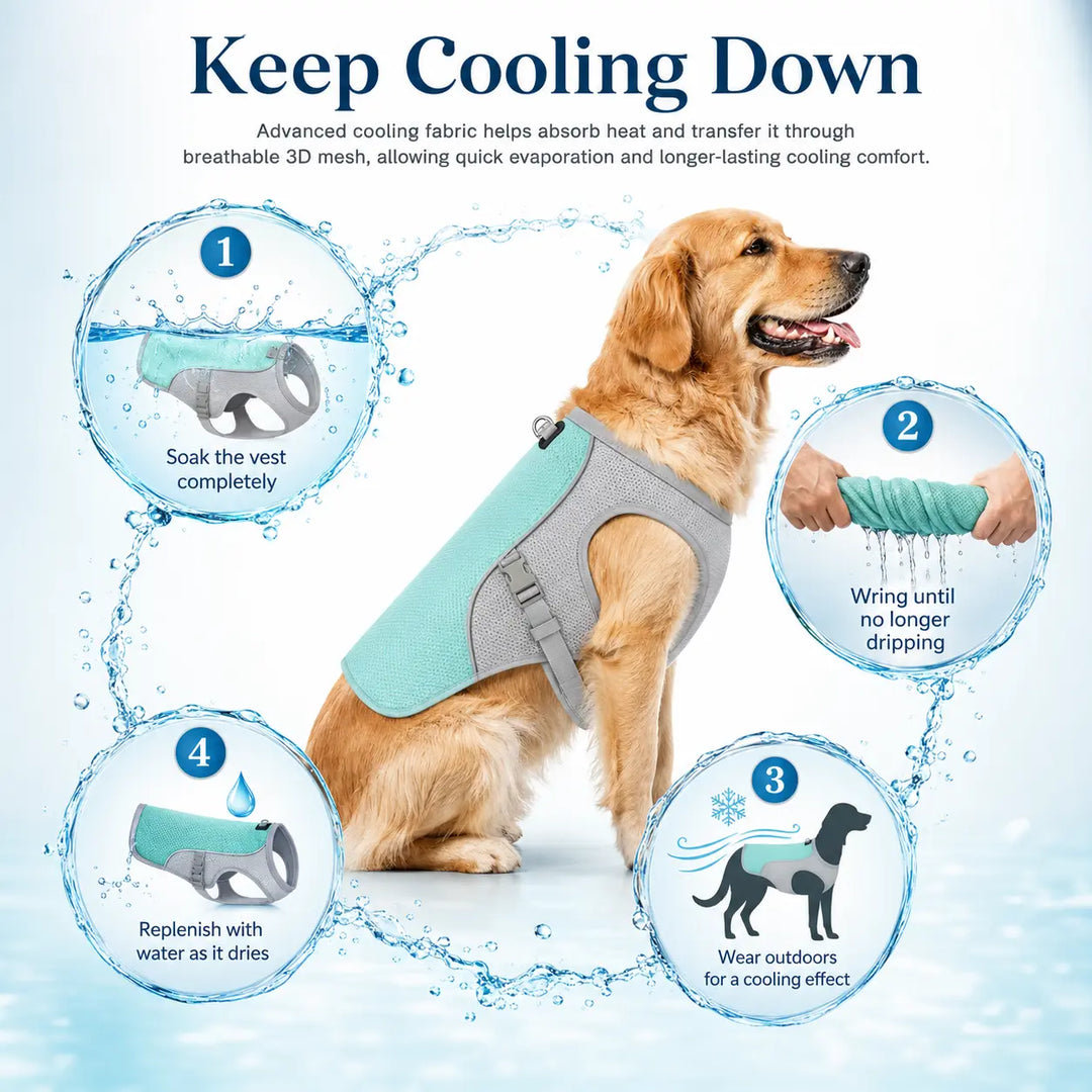 Summer Dog Cooling Vest