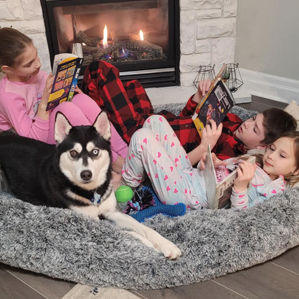 Cozy human and pet lounger bed for bonding