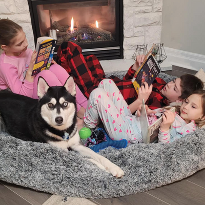 Cozy human and pet lounger bed for bonding