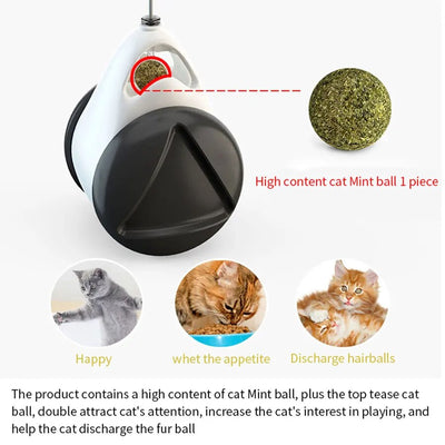 Rotating toy ball with high mint content for fresh breath