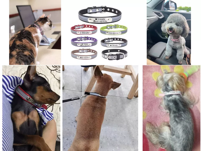 Personalized Leather Reflective Dog Collar