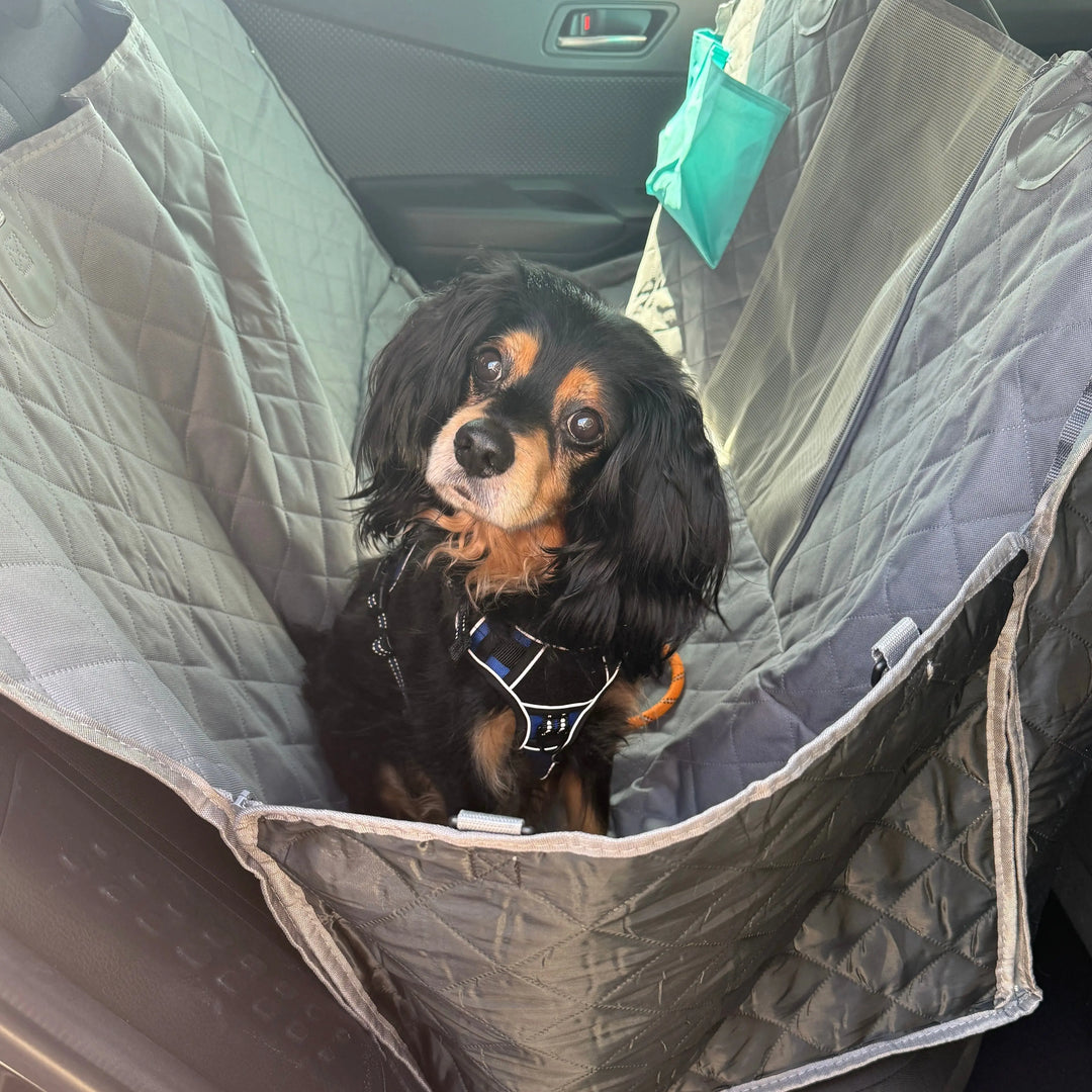 waterproof and machine-washable dog hammock to stop mud and hair

