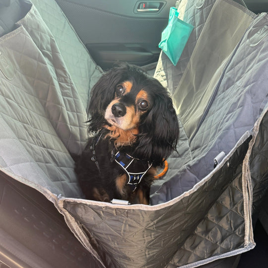 waterproof and machine-washable dog hammock to stop mud and hair

