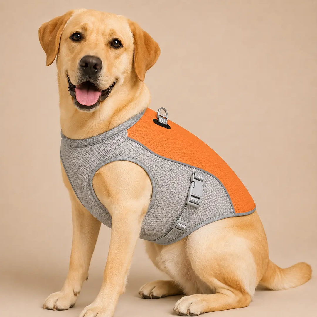 Summer Dog Cooling Vest
