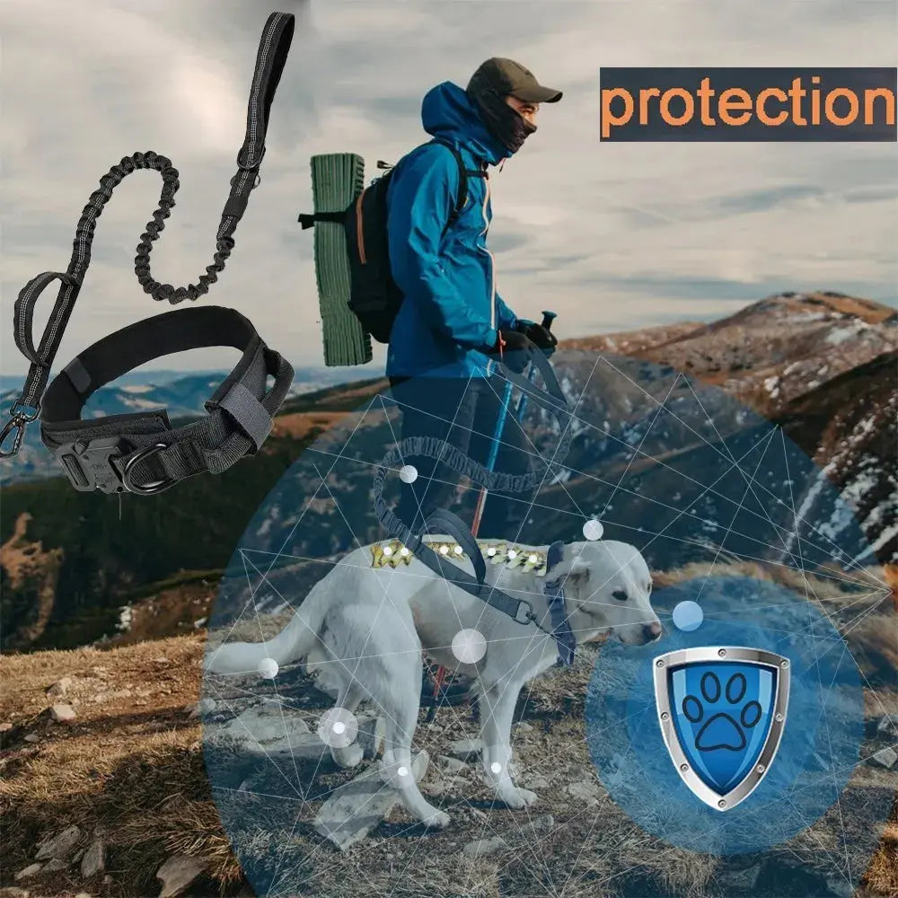 Rugged outdoor dog collar for hiking and training