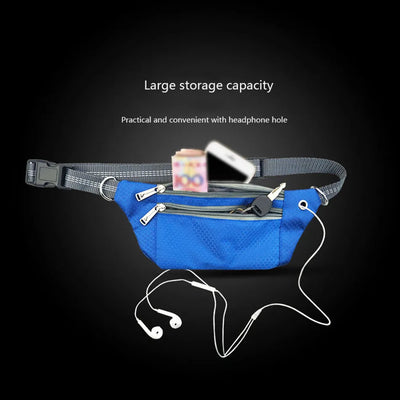 Hands-free dog leash with large storage pouch