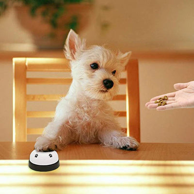 Training bell for pets to ring when hungry
