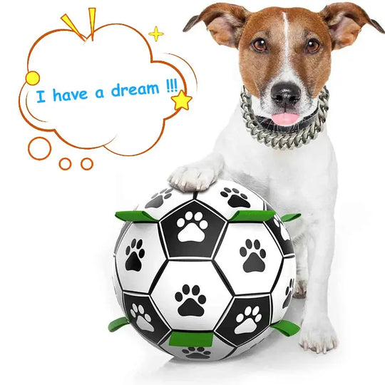 Dog-friendly soccer ball for fetch and play