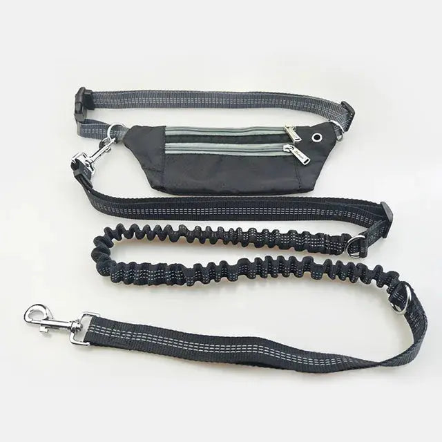 Waist leash for dogs, perfect for joggers