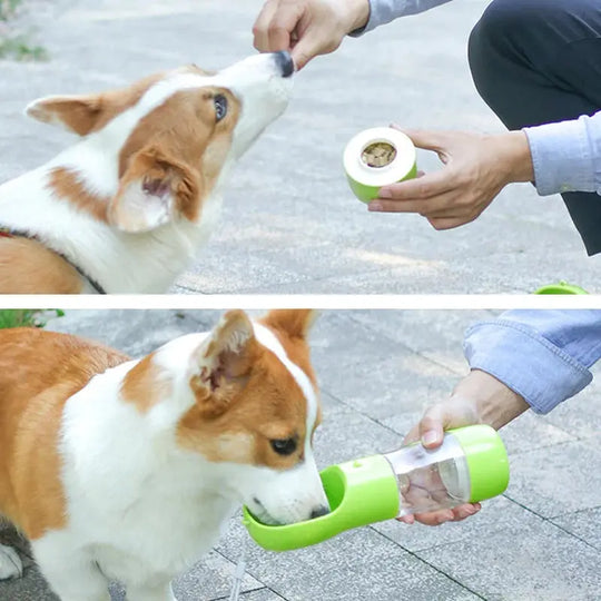 2-in-1 food and water dispenser for dogs