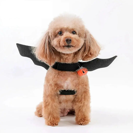 top-rated Halloween costume with bat wings for pets