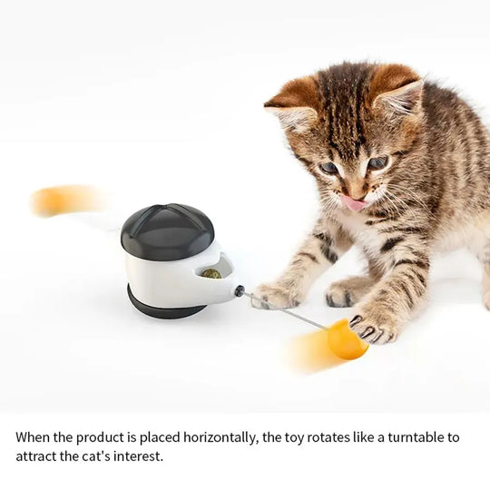 Auto-rotating toy to keep pets active