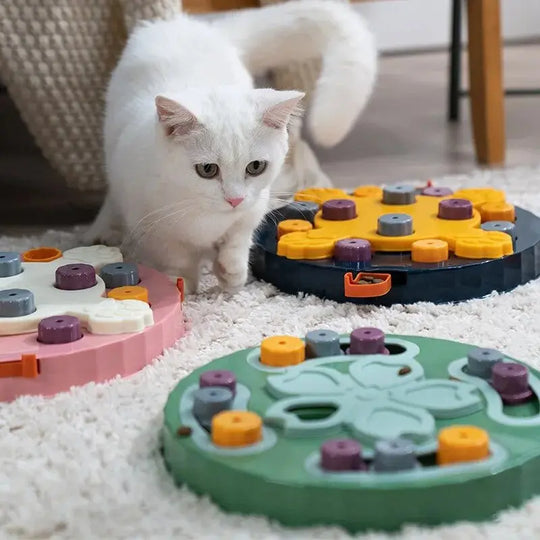 cat puzzle bowl for interactive feeding

