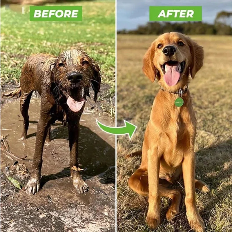 Pet spray bath for convenient at-home grooming.