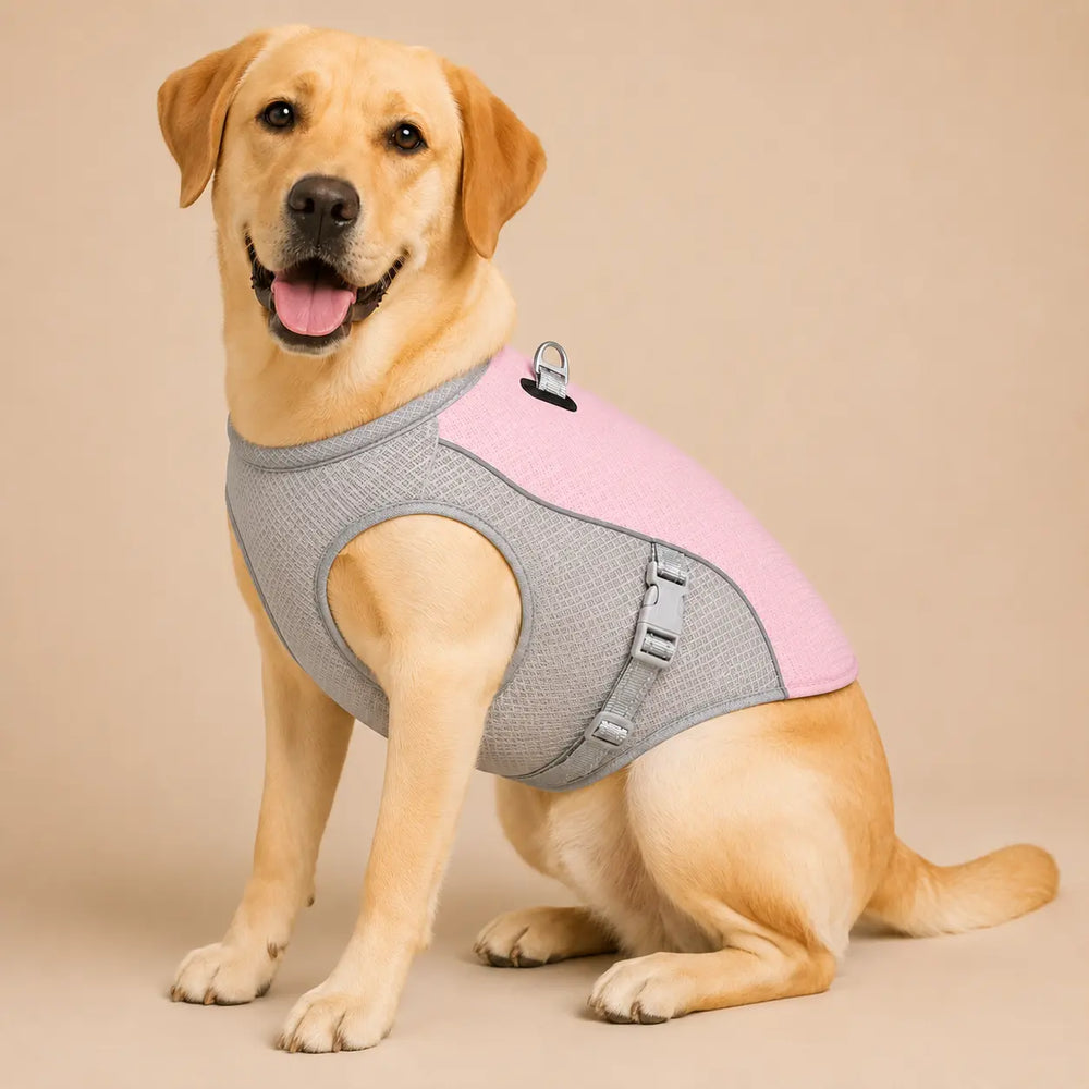 Summer Dog Cooling Vest