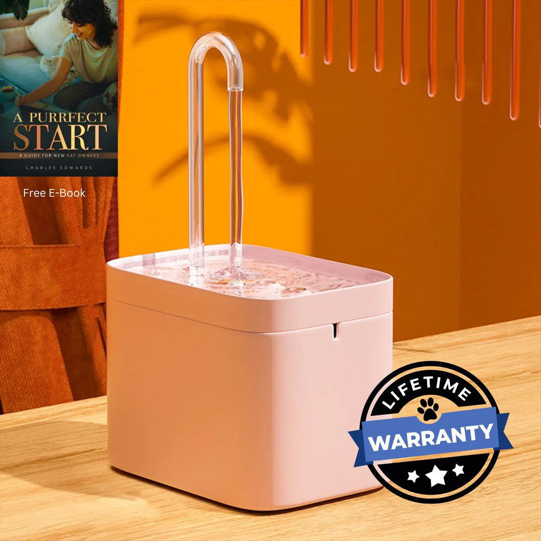 Vet Certified Fountain for Cat Hydration

