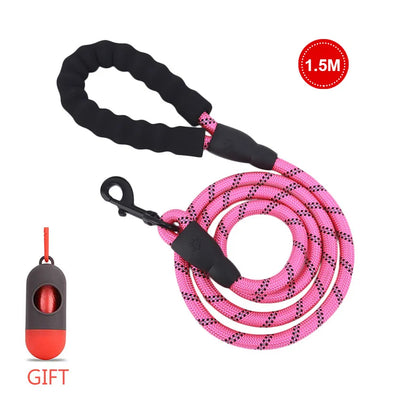 Walking a dog on a premium reflective leash along a city street at night

