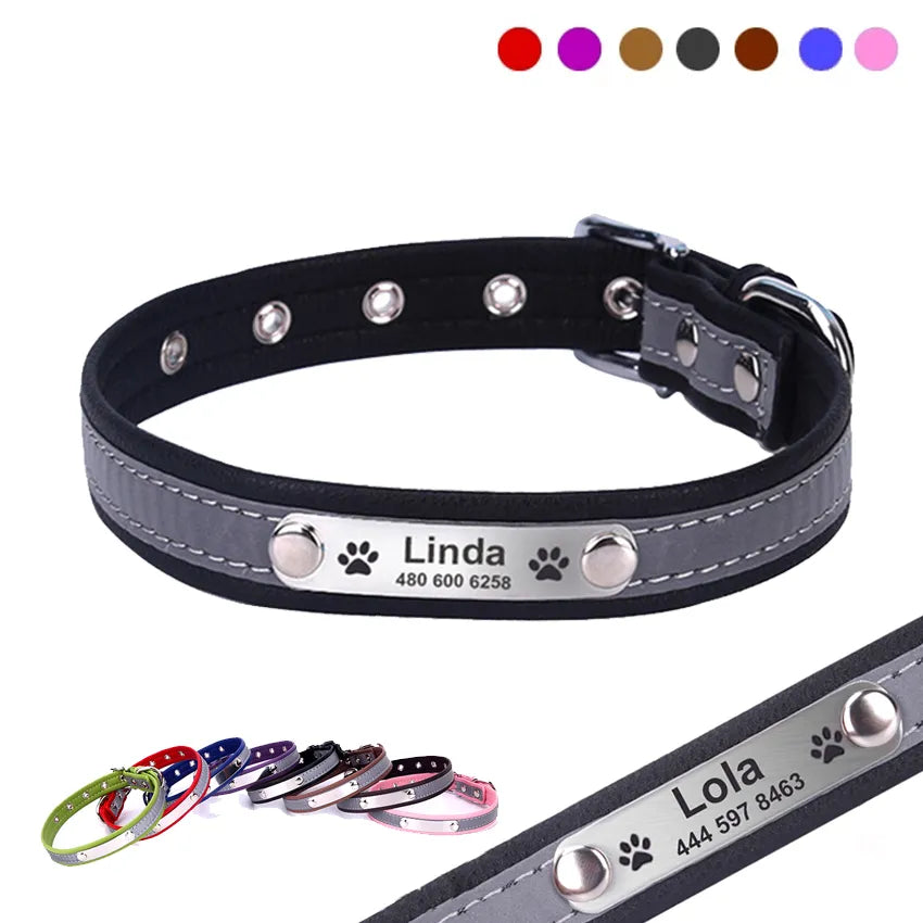 Premium leather dog collar with customized name and phone number.

