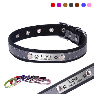 Premium leather dog collar with customized name and phone number.


