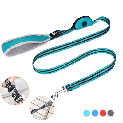 Strong nylon leash for daily dog walks