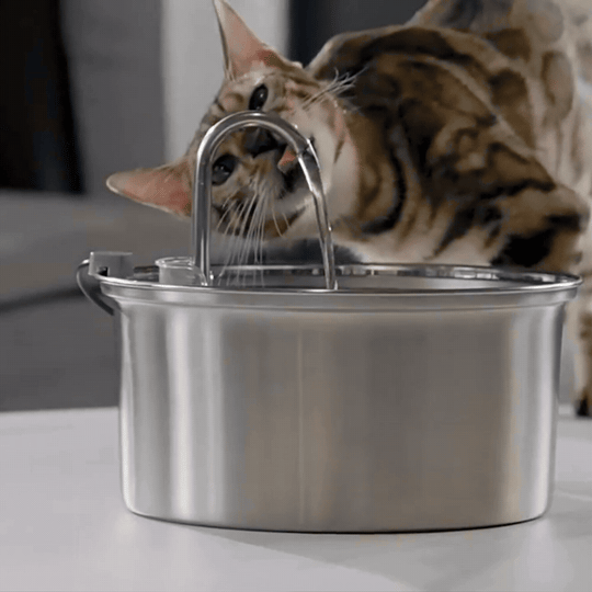 Stainless steel pet water fountain showcasing features and continuous flow for pets