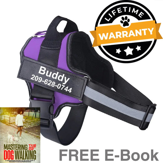 Purple blak no pull dog harness