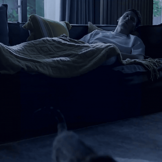 Automatic pet water fountain with continuous circulation to encourage hydration