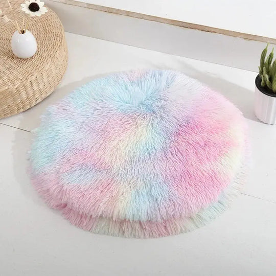 Vibrant rainbow pet cushion for colorful comfort