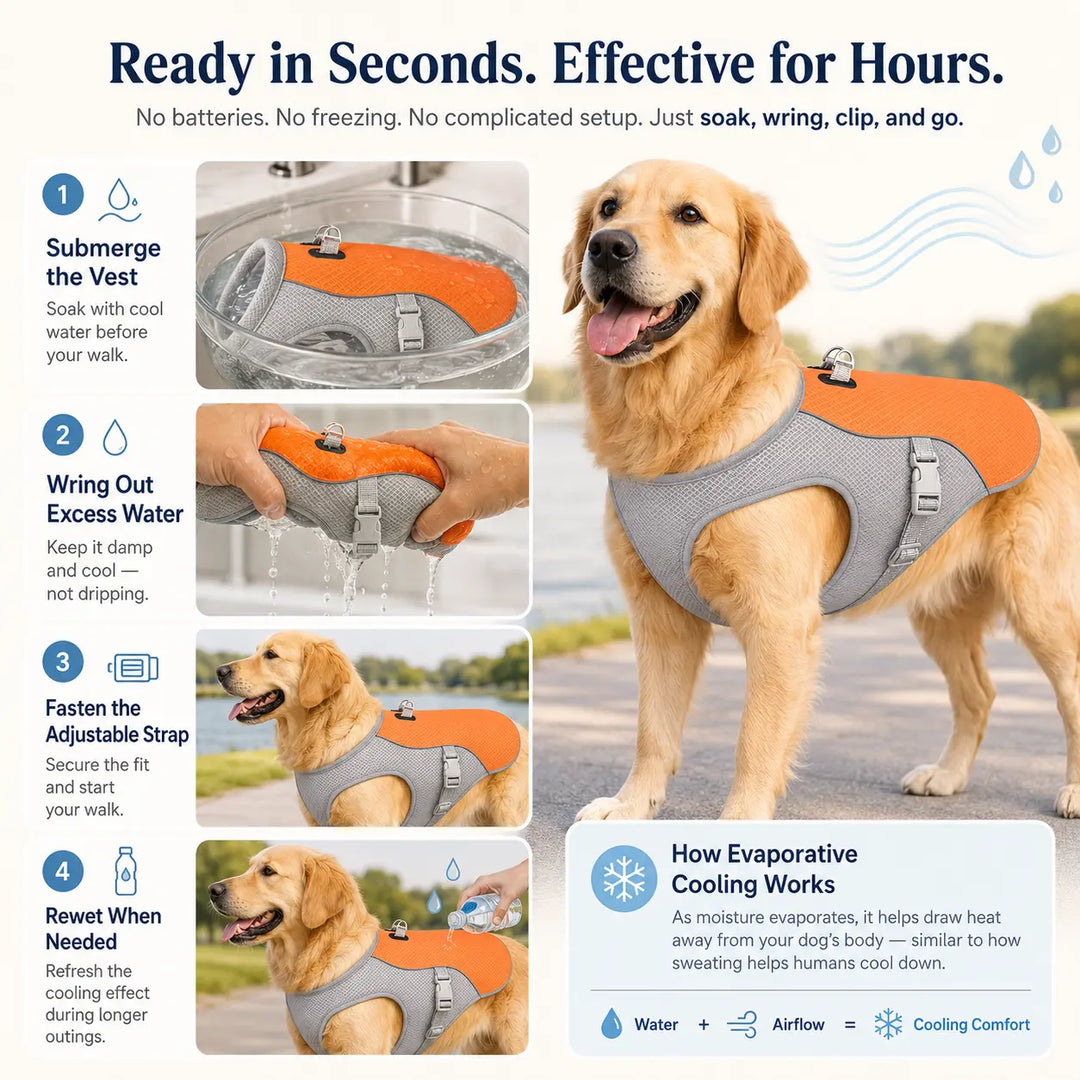 Summer Dog Cooling Vest