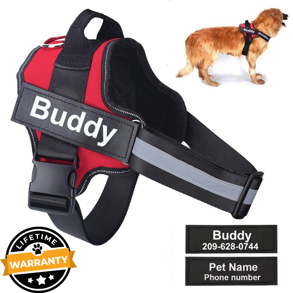 Wilex no 2025 pull dog harness