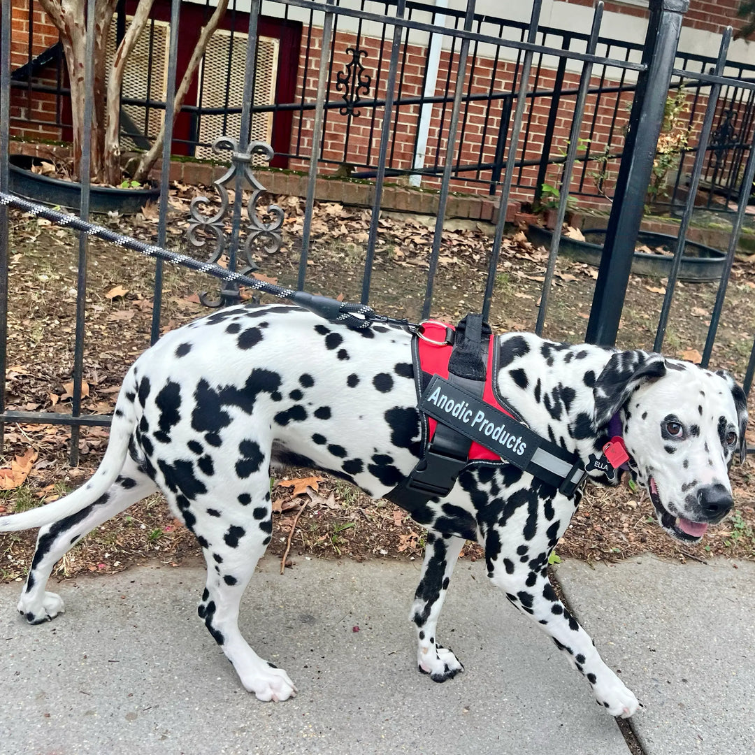 Red no pull dog harness