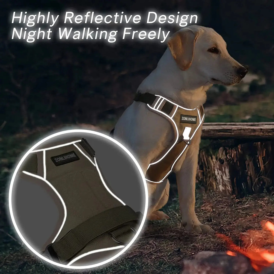 Reflective dog harness for visibility in low light.