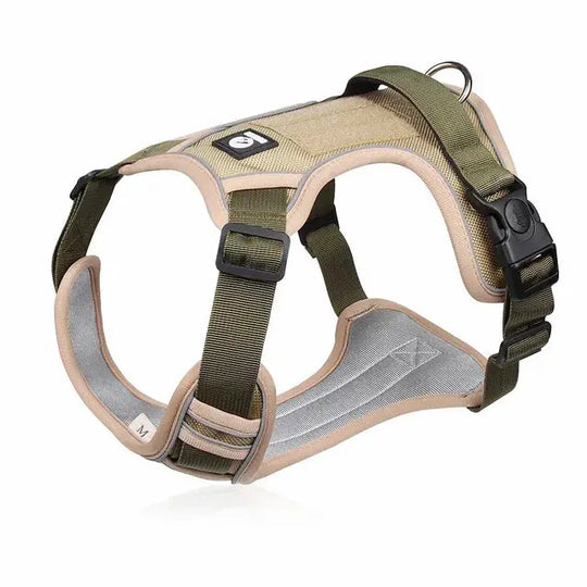 Reflective harness for pets, ideal for evening walks.