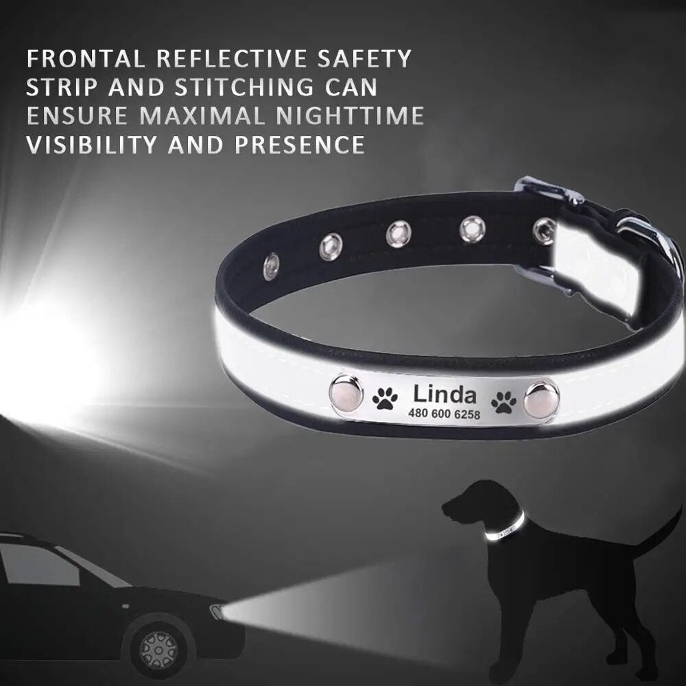 Reflective leather dog collar featuring personalized ID tag.

