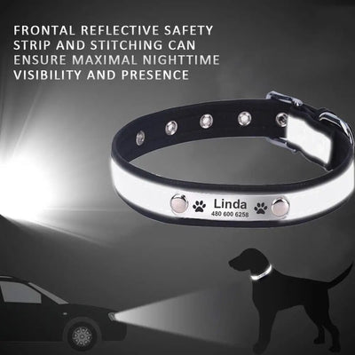 Reflective leather dog collar featuring personalized ID tag.

