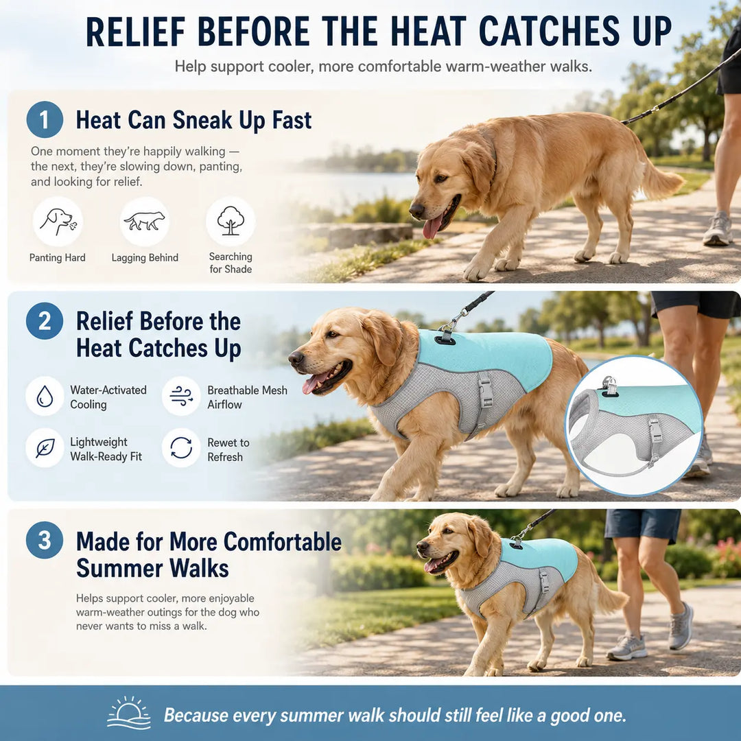 Summer Dog Cooling Vest