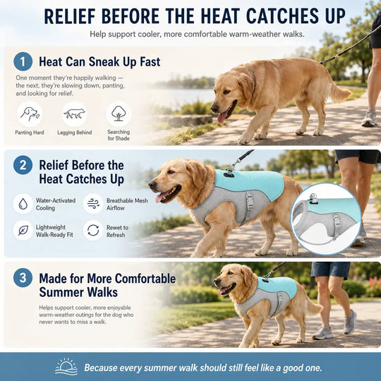 Summer Dog Cooling Vest