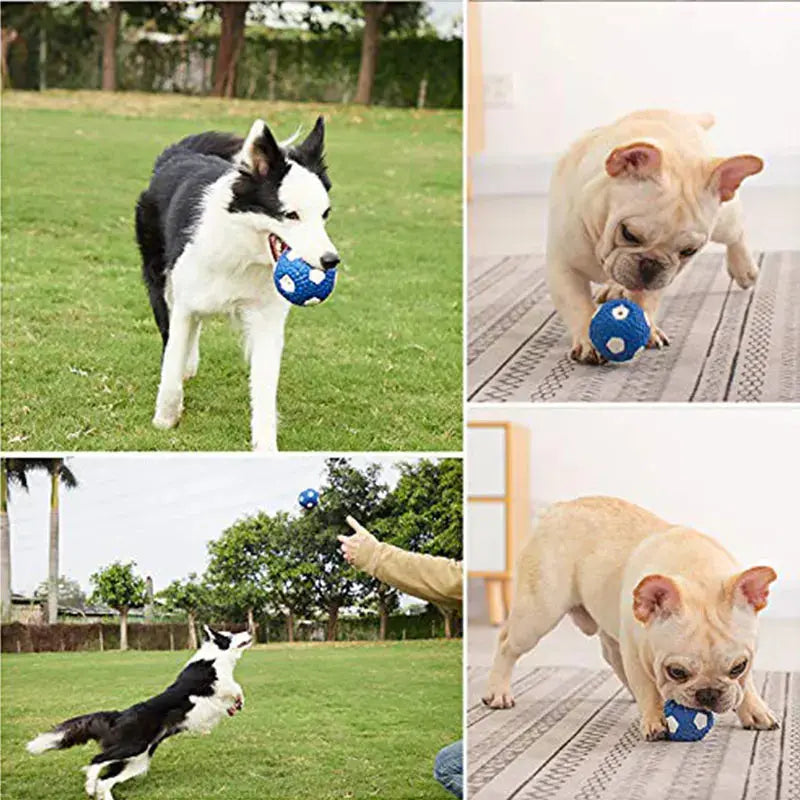 Heavy-duty squeaky toy ball for endless play