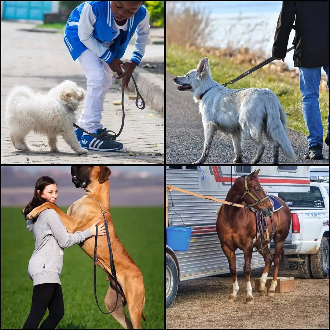 Rugged dog leash with dual handles for added control and stability.

