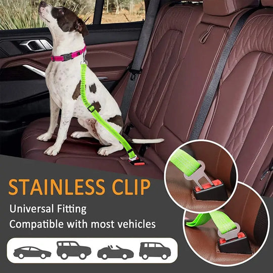 Pet Seat Belt Leash Anodic Products