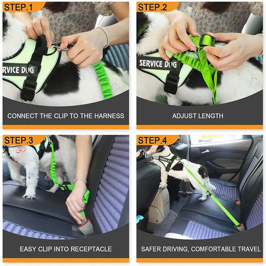 Pet Seat Belt Leash Anodic Products