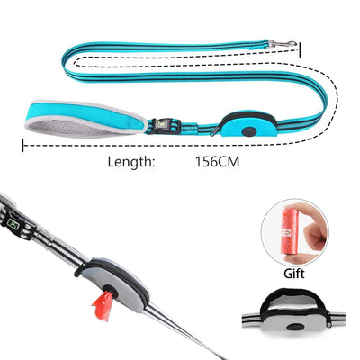 Reflective nylon leash for safe nighttime walks