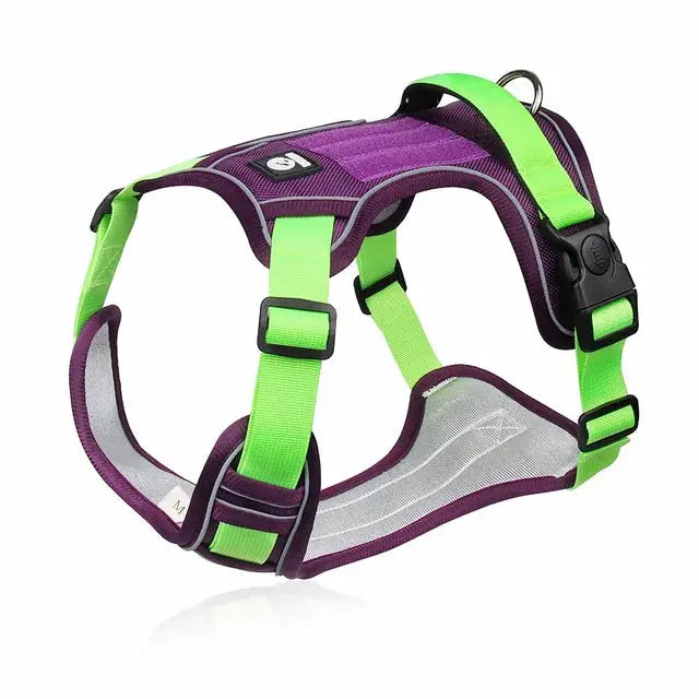 SafePaws reflective harness for all dogs.