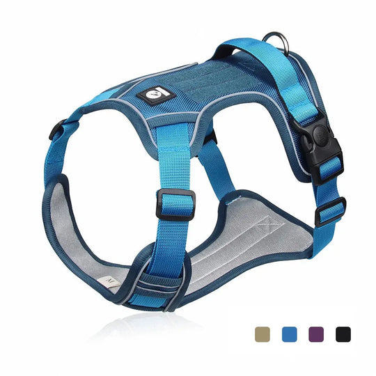SafePaws reflective dog harness for safe night walks.