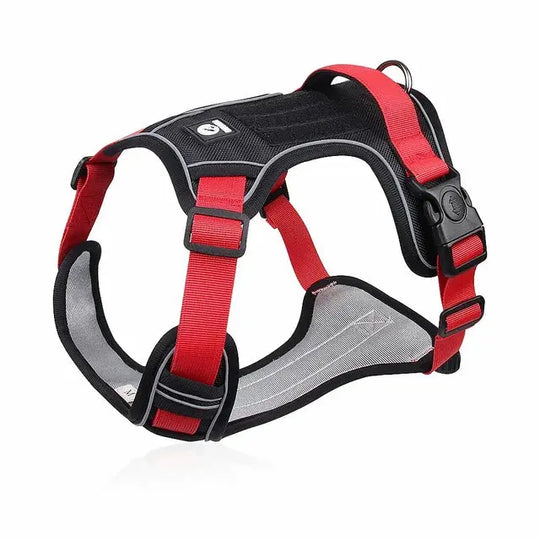 Safe dog harness for night walking and outdoor adventures.