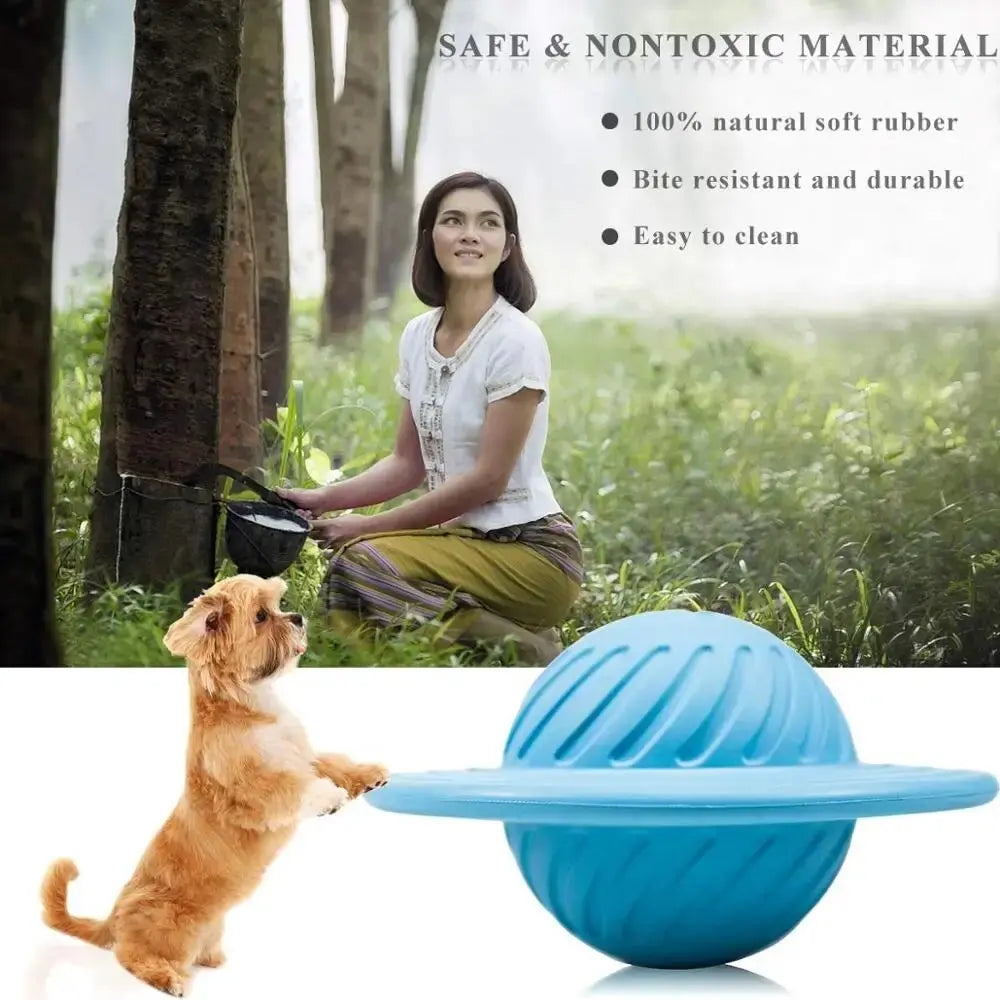Pet treat ball made from safe, non-toxic materials