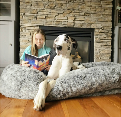 Companion Lounger Human Pet Bed