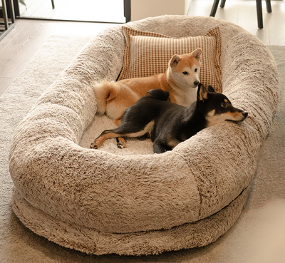 Companion Lounger Human Pet Bed