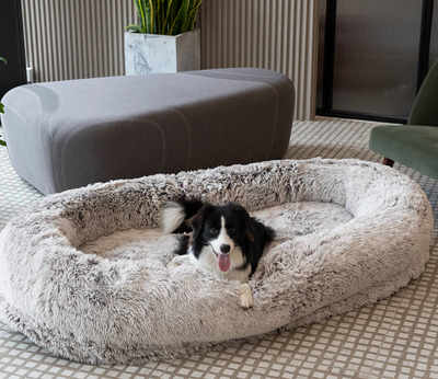 Companion Lounger Human Pet Bed