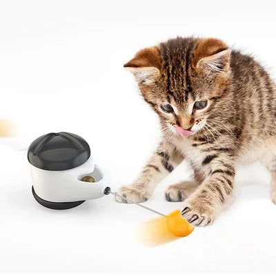 Auto-rolling pet ball designed for indoor fun